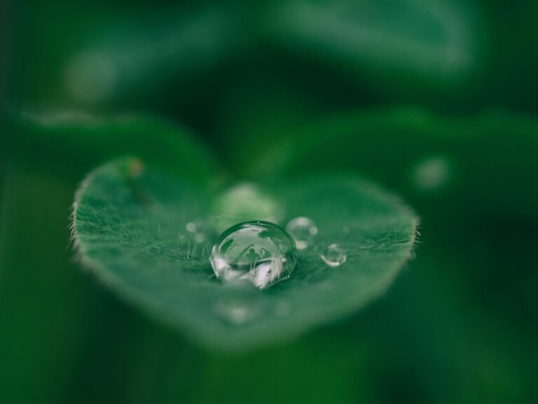 aaron-burden-dXYE1d08BiY-unsplash-scaled-1